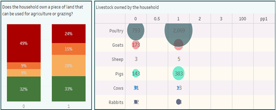 Income and assets